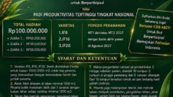 Lomba Padi Nasional 2027, Petani Bisa Tanam Lebih dari Satu Varietas