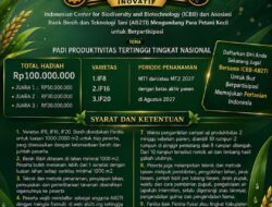 Lomba Padi Nasional 2027, Petani Bisa Tanam Lebih dari Satu Varietas