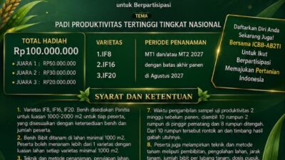 Lomba Padi Nasional 2027, Petani Bisa Tanam Lebih dari Satu Varietas